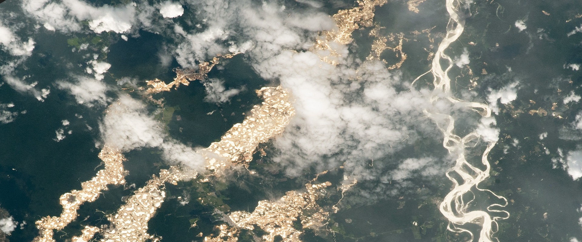 Did the US Make Owning Gold Illegal? A Timeline of Events